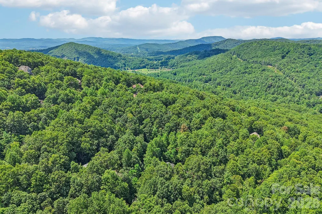 10 Cedar Drive Mills River NC 28759