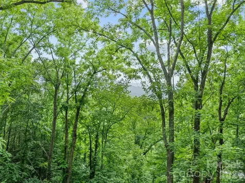 145 Hiaway Trail Clyde NC 28721