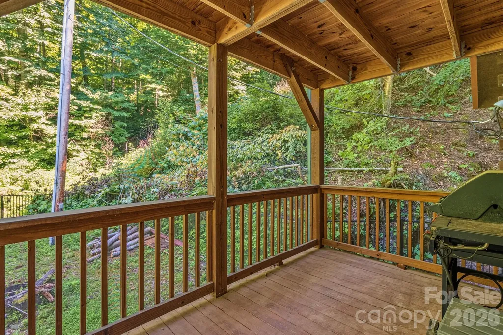1482 Howard Moore Road Hot Springs NC 28743