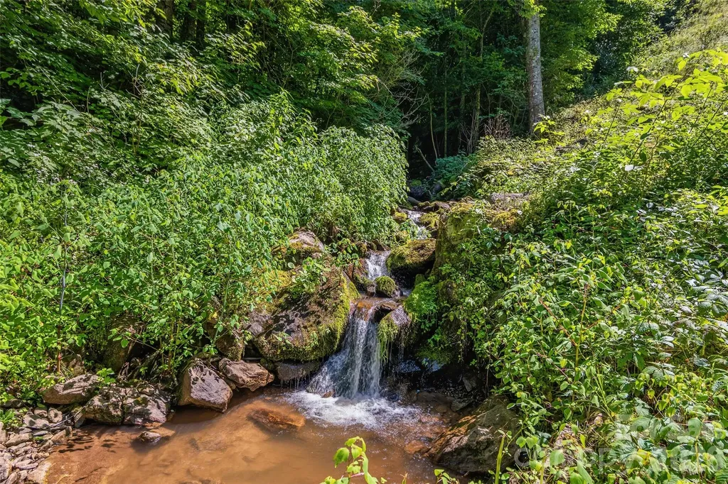 1482 Howard Moore Road Hot Springs NC 28743