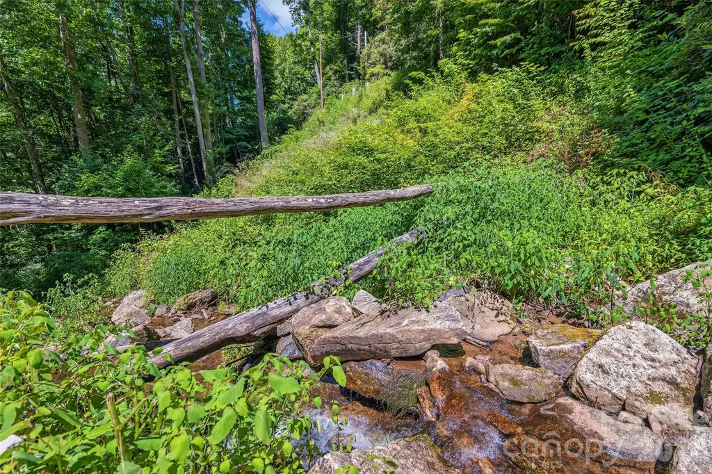 1482 Howard Moore Road Hot Springs NC 28743