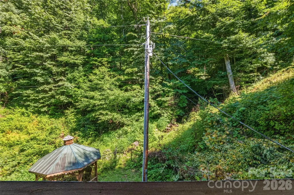 1482 Howard Moore Road Hot Springs NC 28743