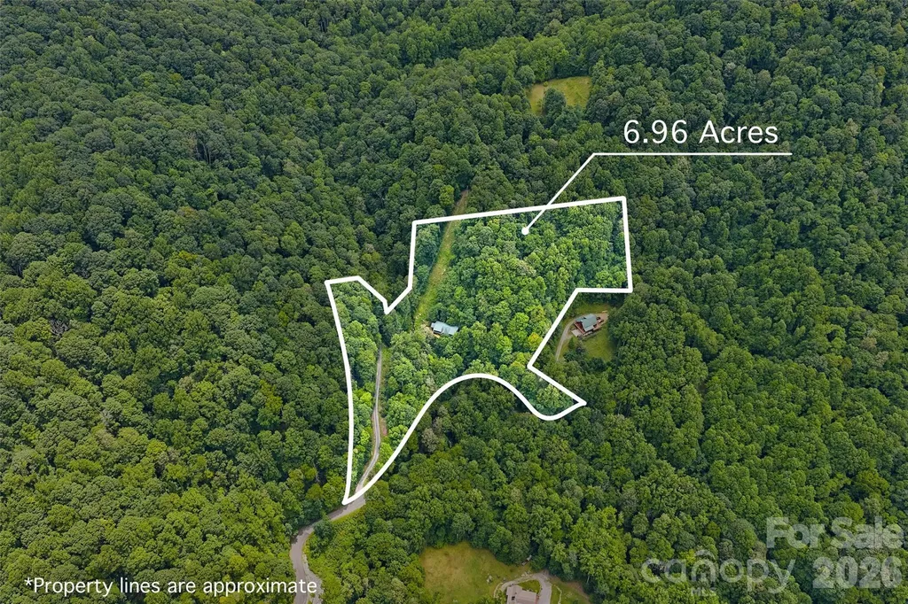 1482 Howard Moore Road Hot Springs NC 28743