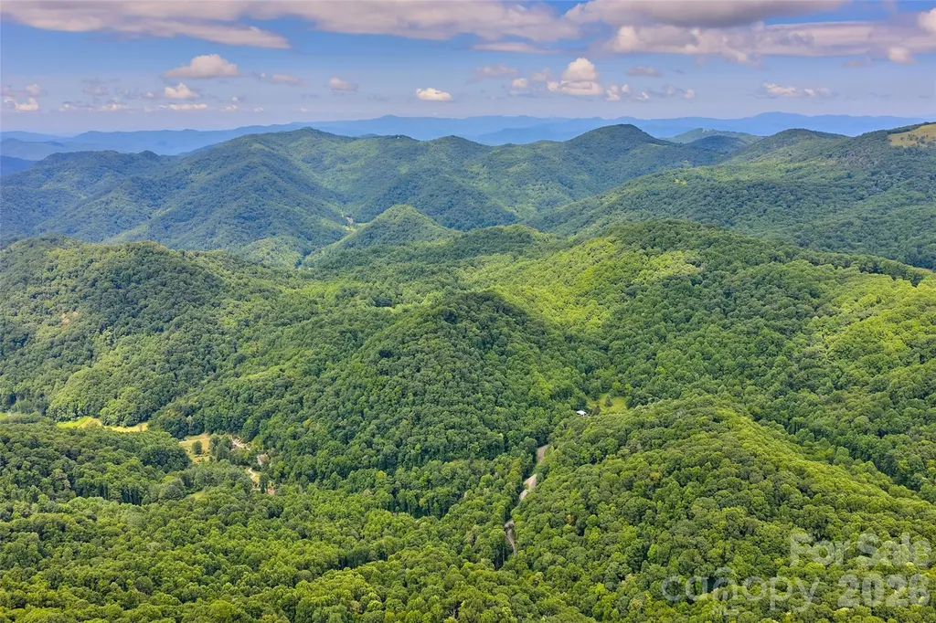 1482 Howard Moore Road Hot Springs NC 28743