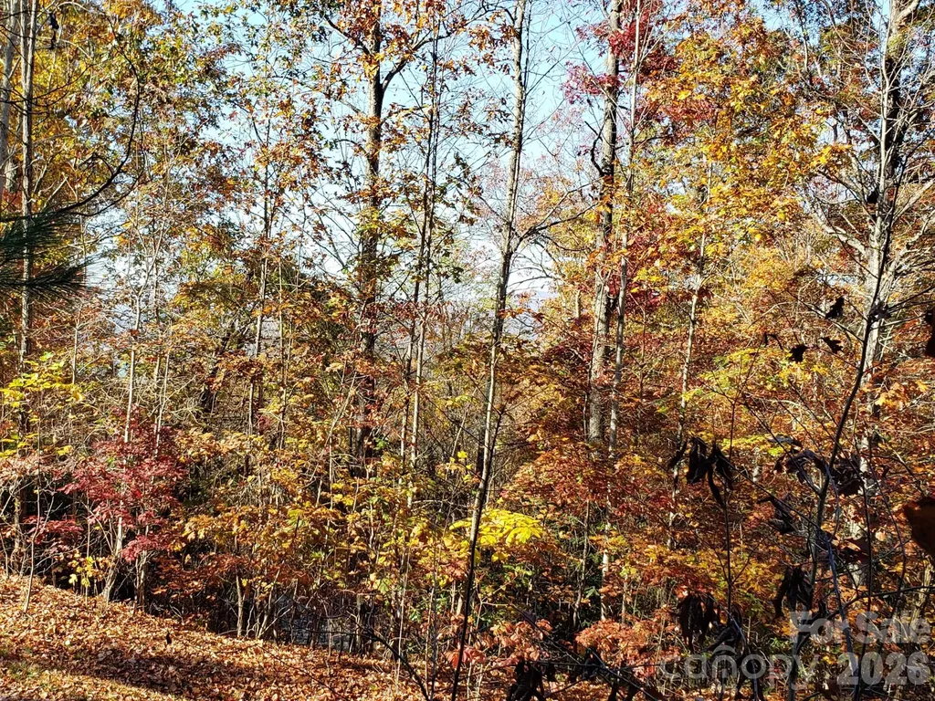 Tbd Top Oaks Lane Pisgah Forest NC 28768
