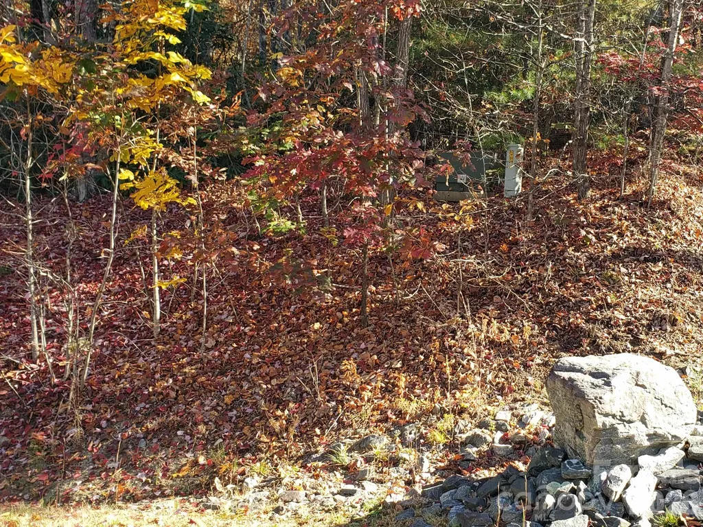 Tbd Top Oaks Lane Pisgah Forest NC 28768