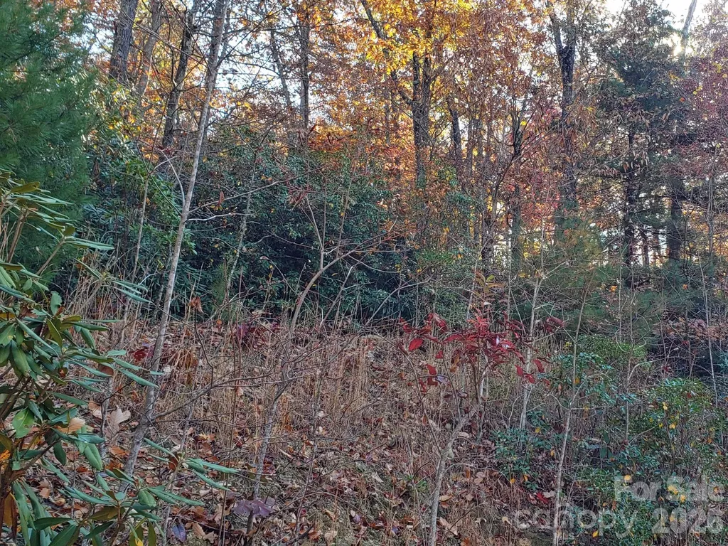 Tbd Top Oaks Lane Pisgah Forest NC 28768