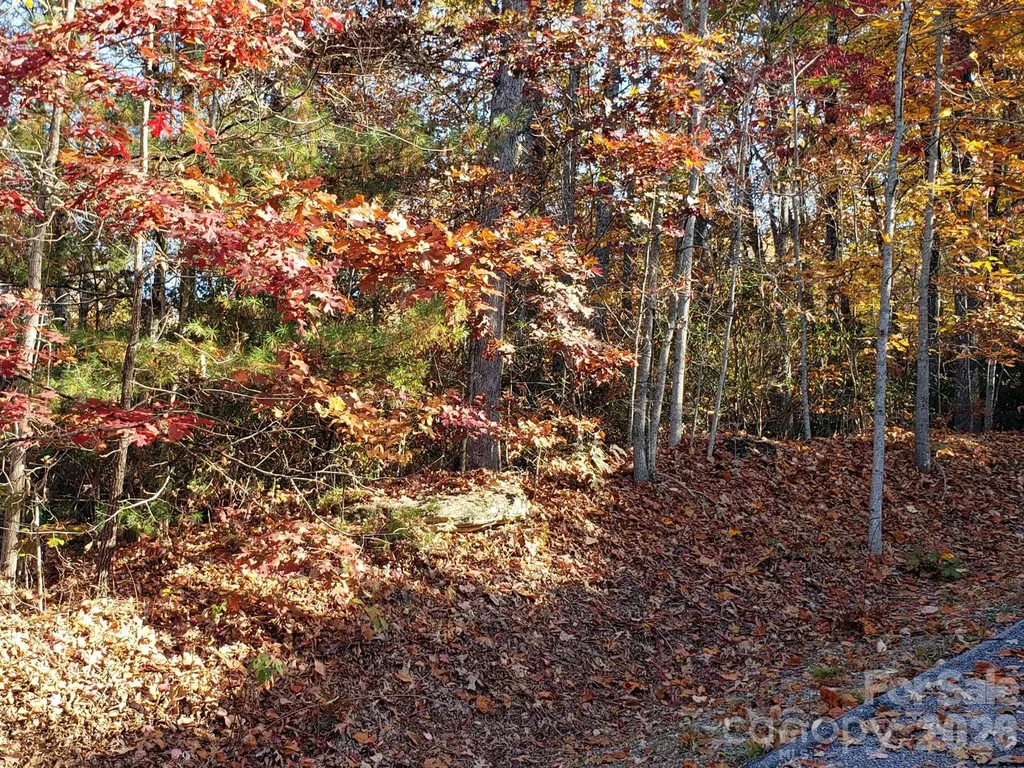Tbd Top Oaks Lane Pisgah Forest NC 28768