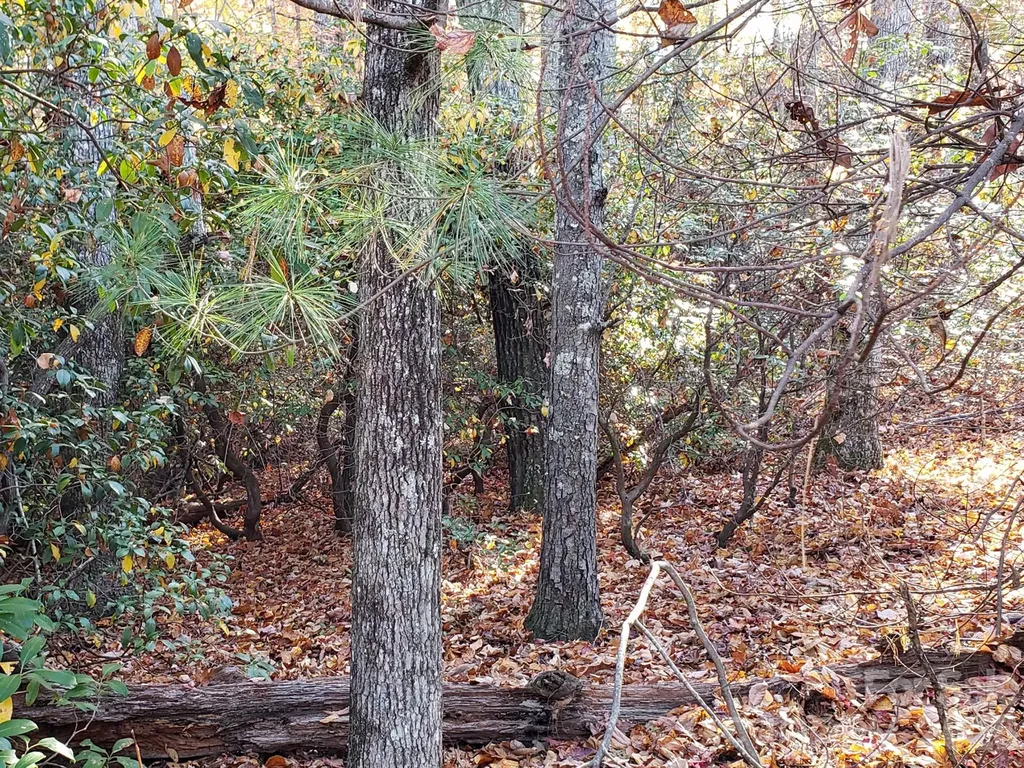 Tbd Top Oaks Lane Pisgah Forest NC 28768