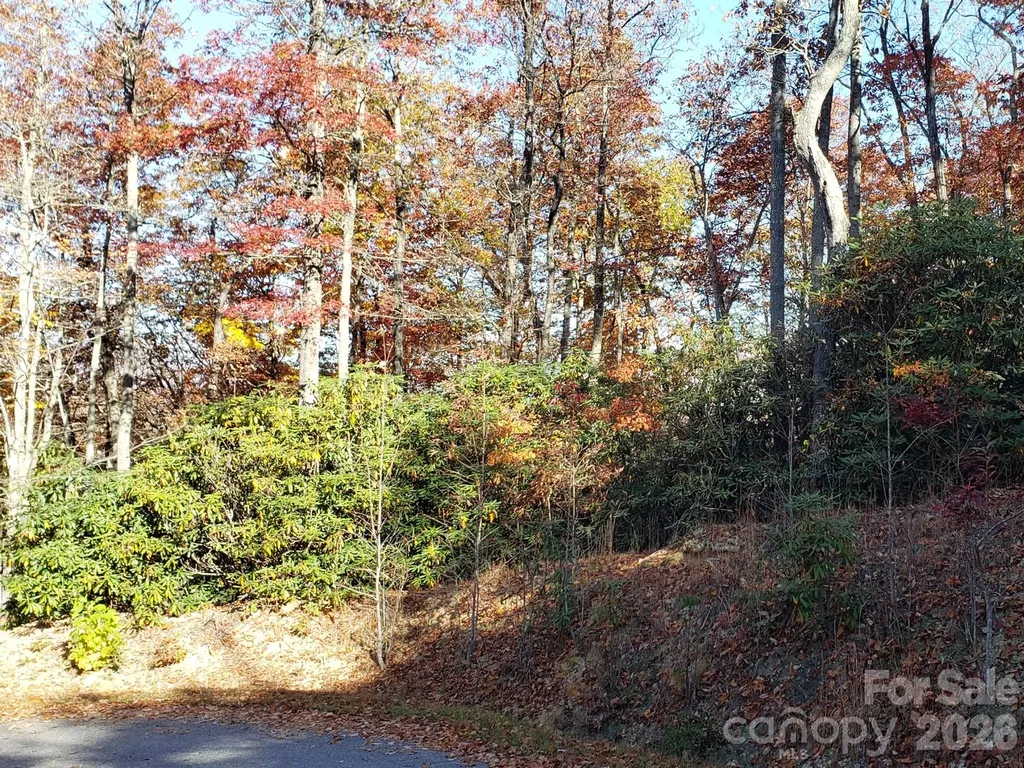 Tbd Top Oaks Lane Pisgah Forest NC 28768