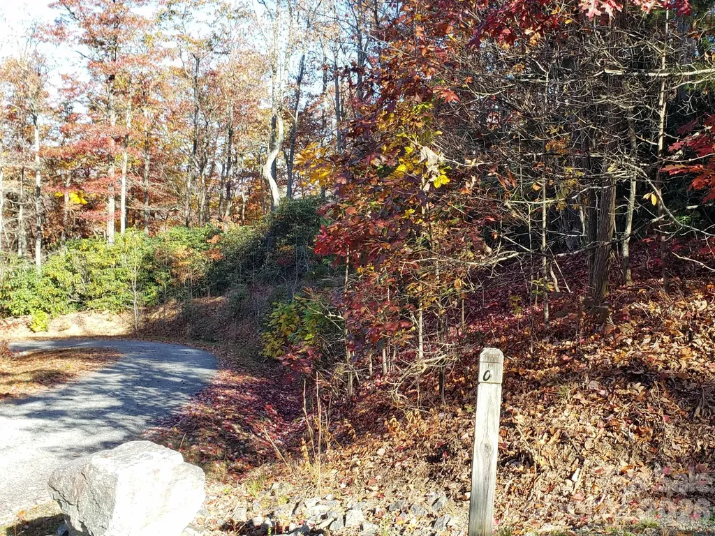 Tbd Top Oaks Lane Pisgah Forest NC 28768