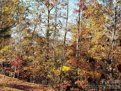 Tbd Top Oaks Lane Pisgah Forest NC 28768
