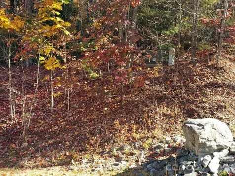 Tbd Top Oaks Lane Pisgah Forest NC 28768