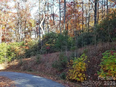 Tbd Top Oaks Lane Pisgah Forest NC 28768