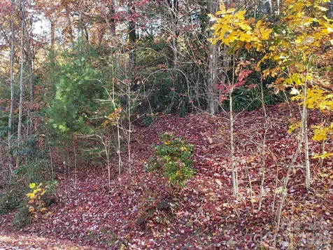 Tbd Top Oaks Lane Pisgah Forest NC 28768