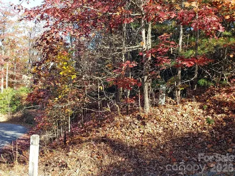 Tbd Top Oaks Lane Pisgah Forest NC 28768