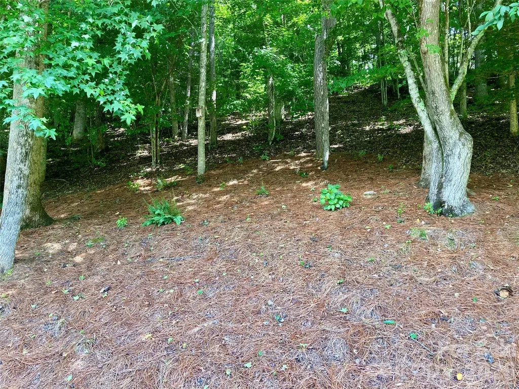 243 Riversound Village Hayesville NC 28904