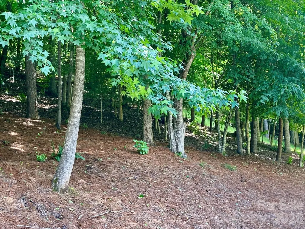 243 Riversound Village Hayesville NC 28904