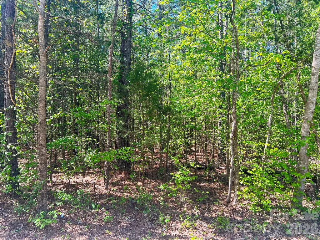 8320 Waxhaw Creek Road Waxhaw NC 28173