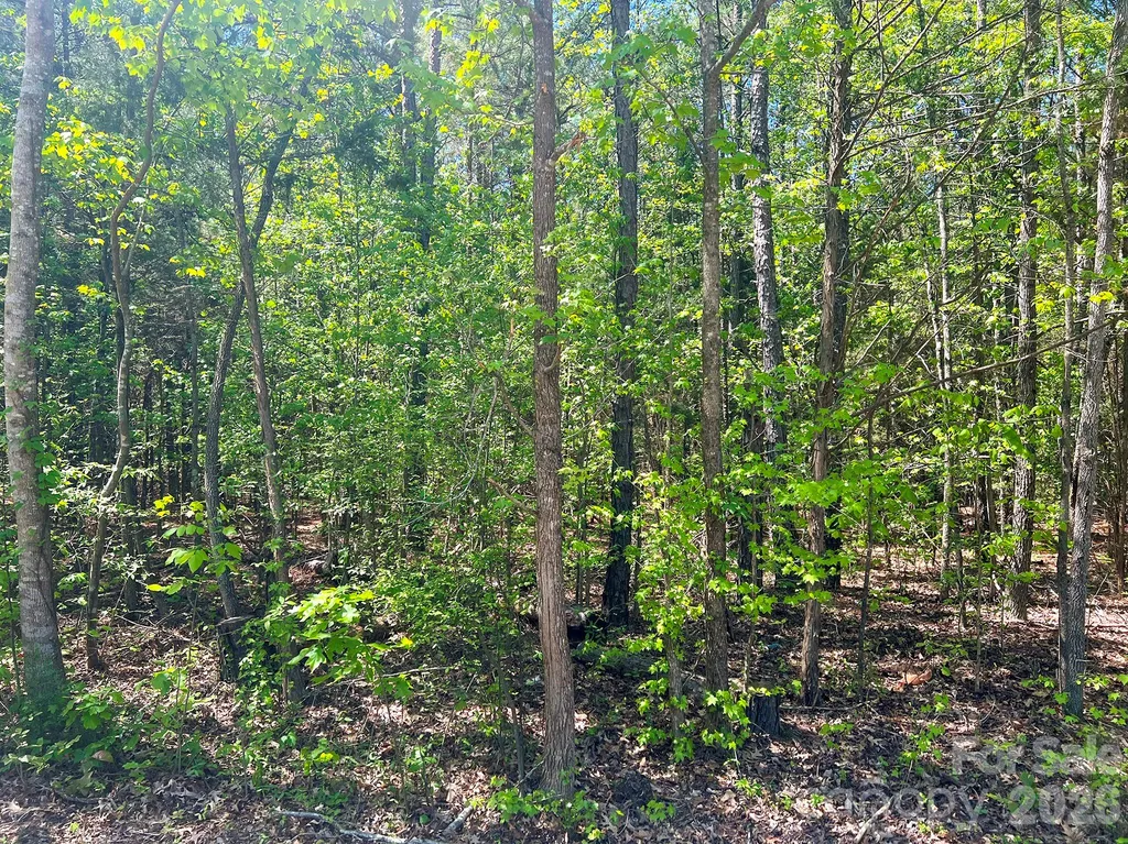 8320 Waxhaw Creek Road Waxhaw NC 28173
