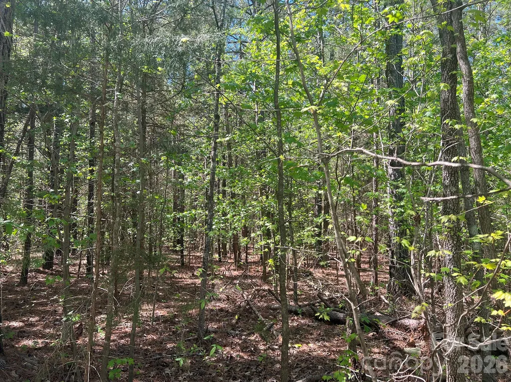 8320 Waxhaw Creek Road Waxhaw NC 28173