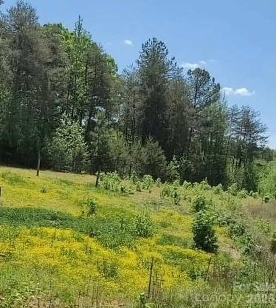 2195 Otis Dellinger Road Lincolnton NC 28092