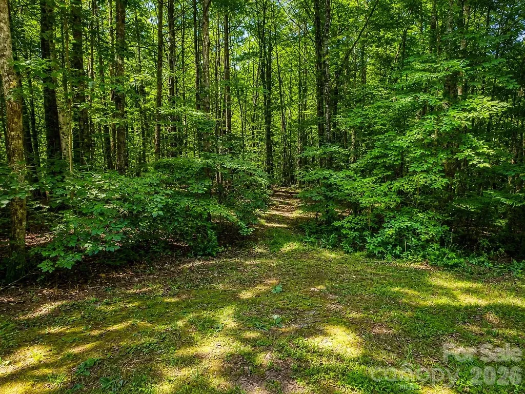 49 Trillium Trail Nebo NC 28761