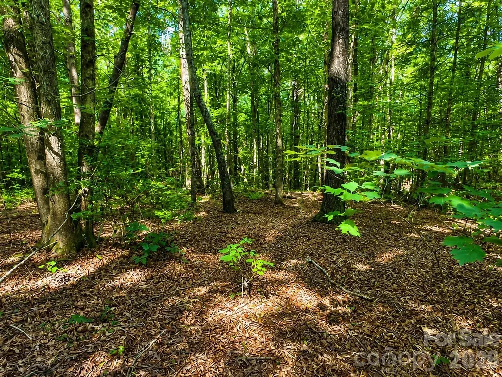 49 Trillium Trail Nebo NC 28761