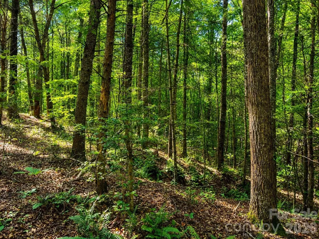 49 Trillium Trail Nebo NC 28761