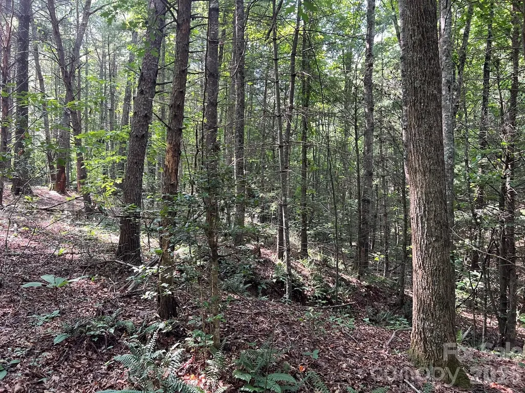 49 Trillium Trail Nebo NC 28761