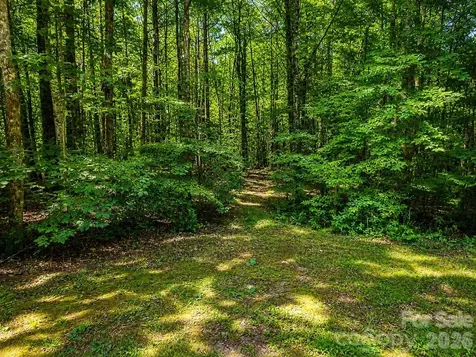 49 Trillium Trail Nebo NC 28761