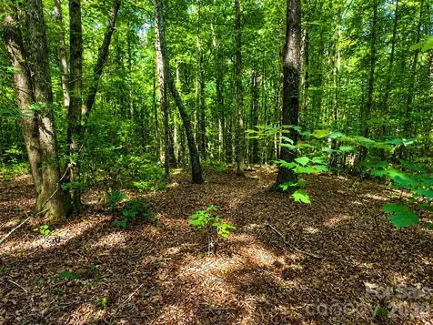 49 Trillium Trail Nebo NC 28761