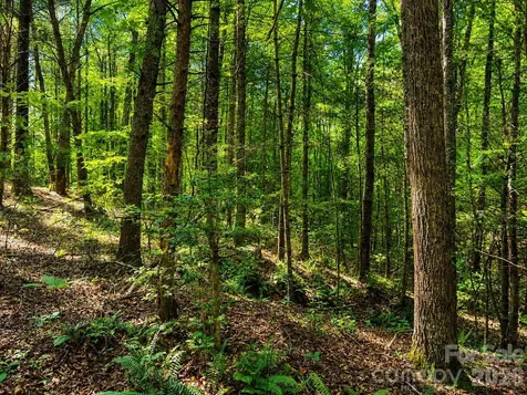 49 Trillium Trail Nebo NC 28761