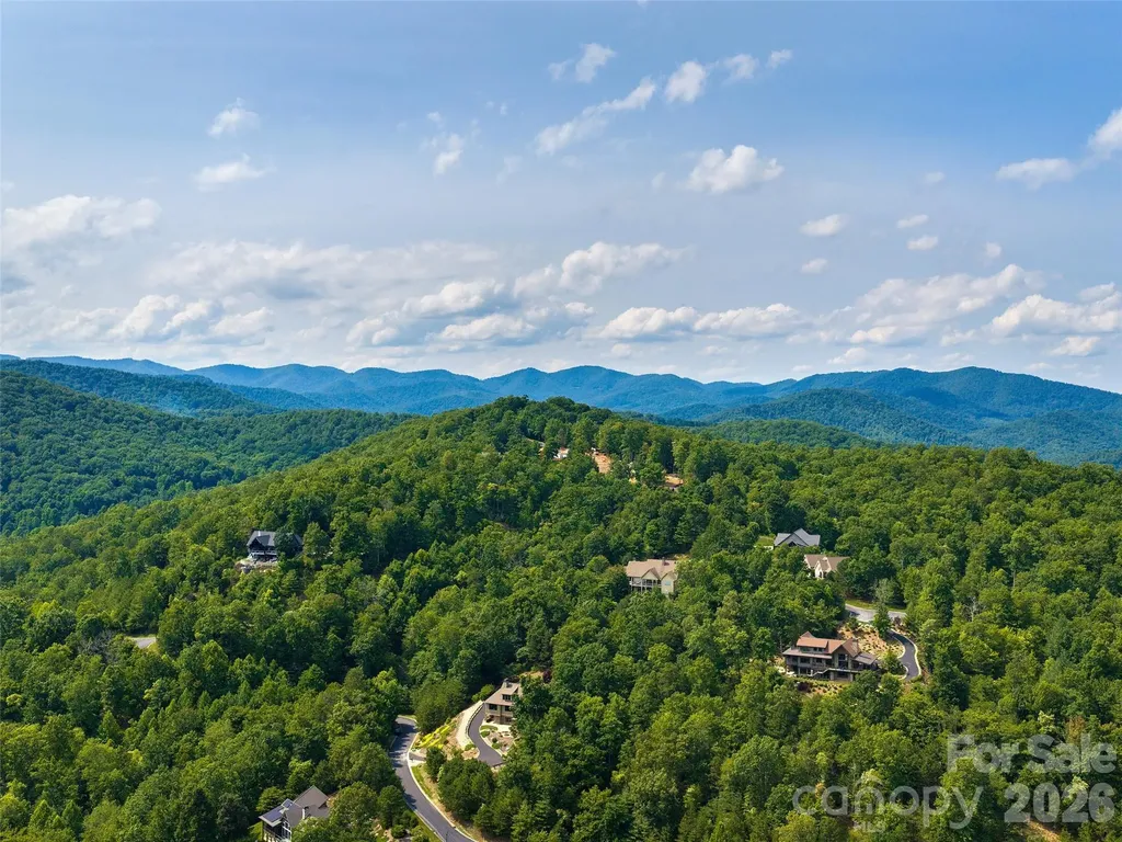 91 Watershed Way Horse Shoe NC 28742