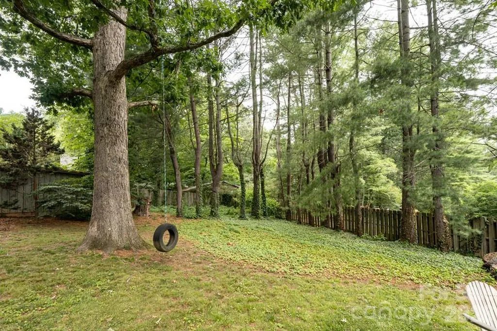 25 Mineral Springs Road Asheville NC 28805