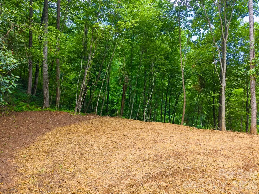 264 Westridge Road Sylva NC 28779
