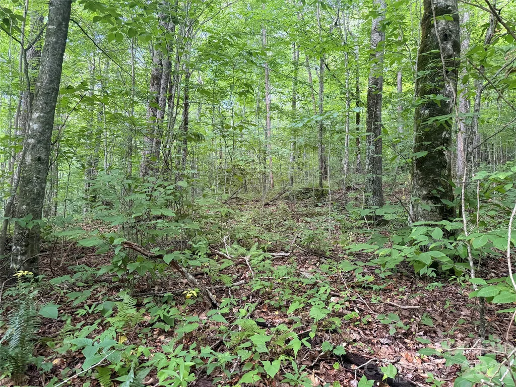 64A Jonathan Trail Maggie Valley NC 28751