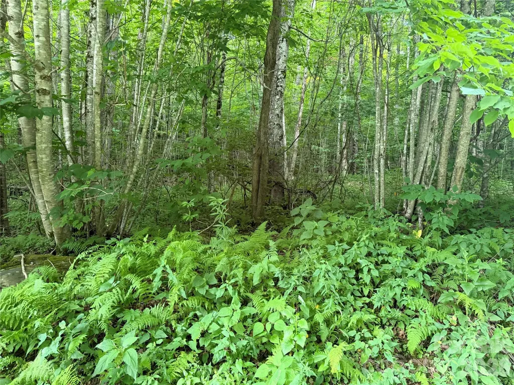 64A Jonathan Trail Maggie Valley NC 28751