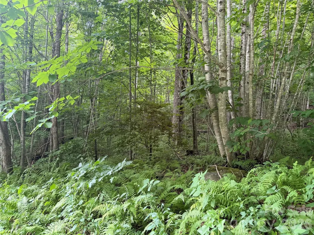 64A Jonathan Trail Maggie Valley NC 28751