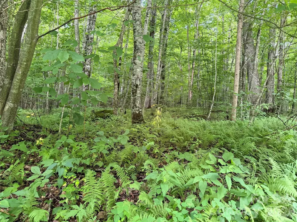 64A Jonathan Trail Maggie Valley NC 28751