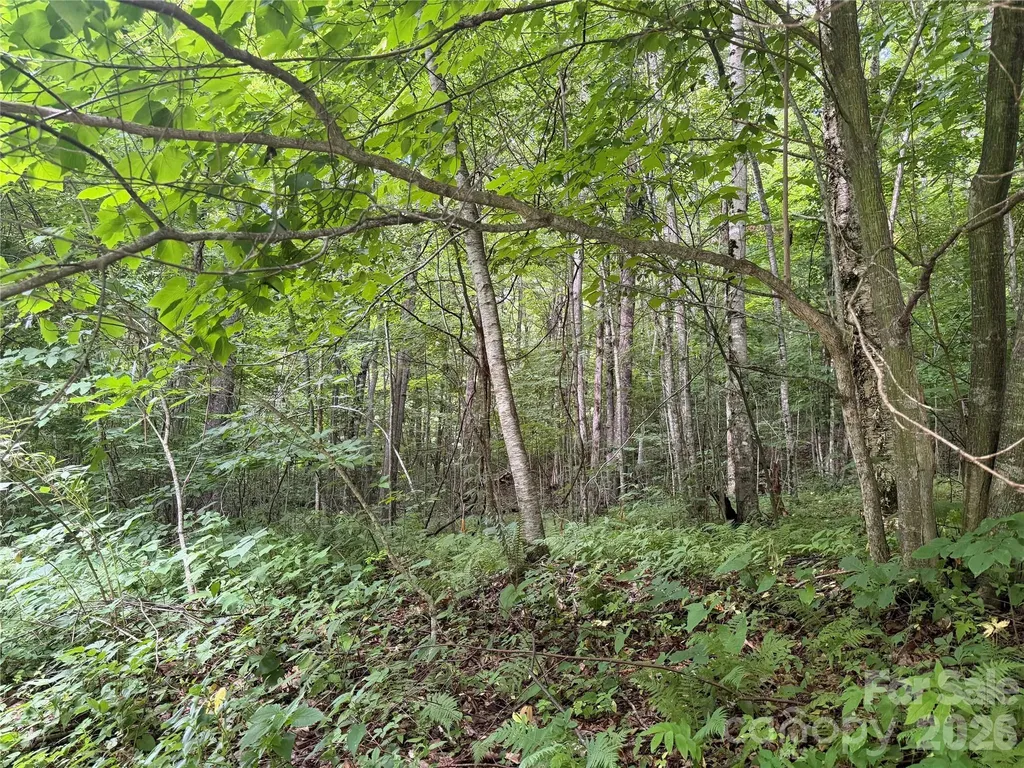 64A Jonathan Trail Maggie Valley NC 28751