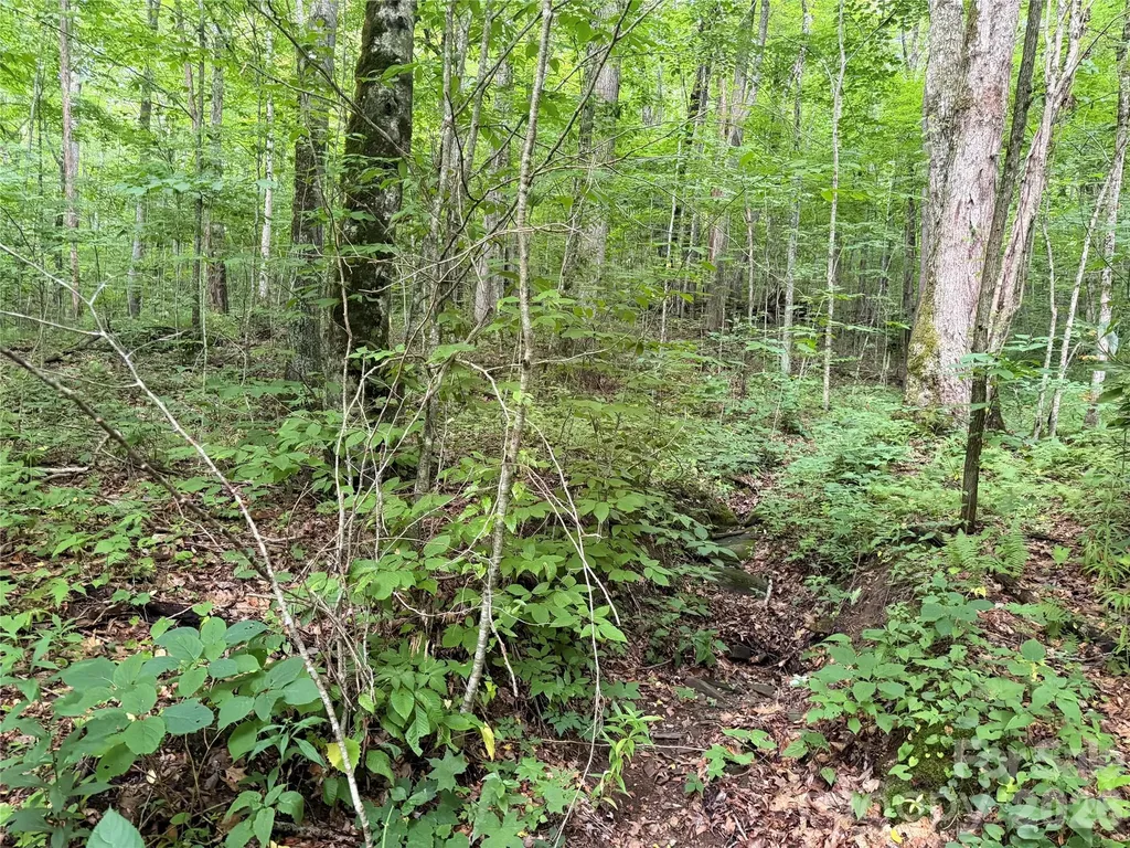 64A Jonathan Trail Maggie Valley NC 28751