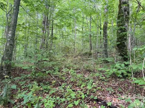 64A Jonathan Trail Maggie Valley NC 28751