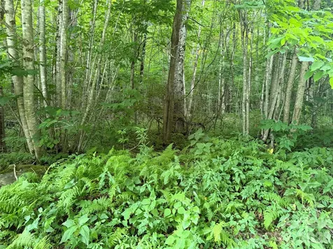 64A Jonathan Trail Maggie Valley NC 28751