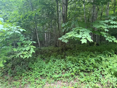 64A Jonathan Trail Maggie Valley NC 28751