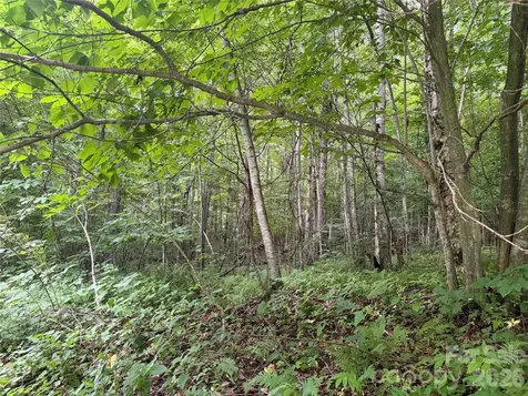 64A Jonathan Trail Maggie Valley NC 28751