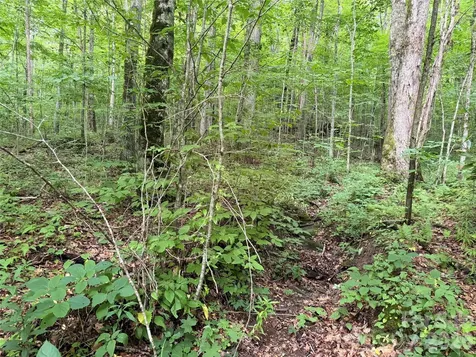 64A Jonathan Trail Maggie Valley NC 28751