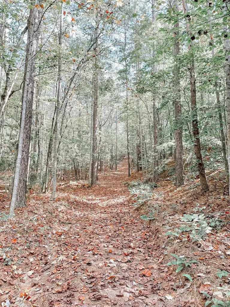 4551 Lake Adger Parkway Mill Spring NC 28756