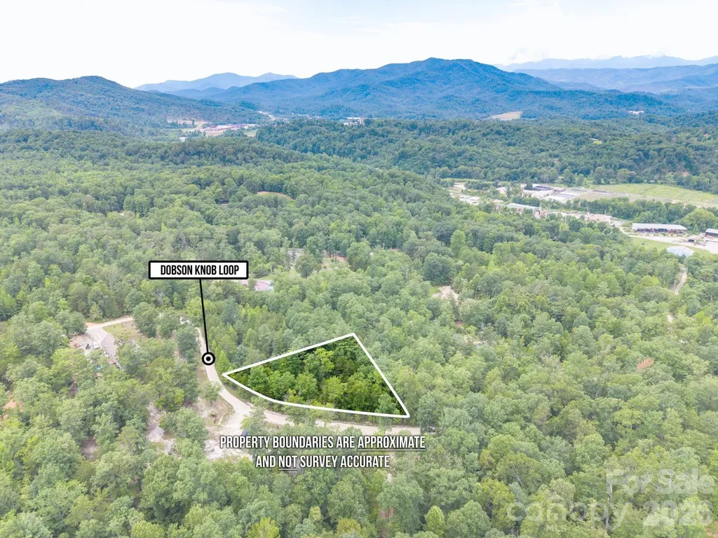 6 Dobsons Knob Loop Marion NC 28752
