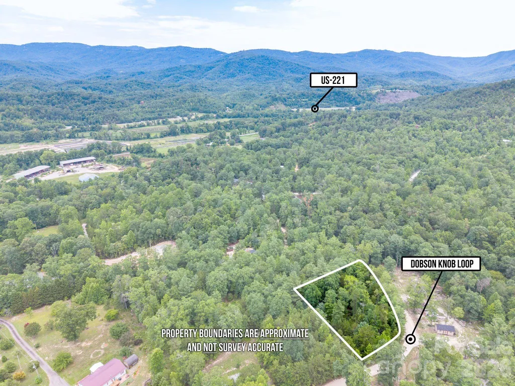 6 Dobsons Knob Loop Marion NC 28752